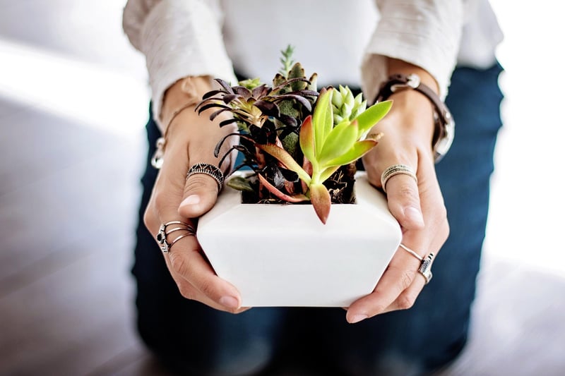 Eco-Friendly Planters